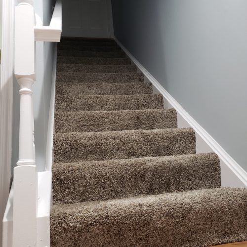 Resized_Resized_20200129_144657